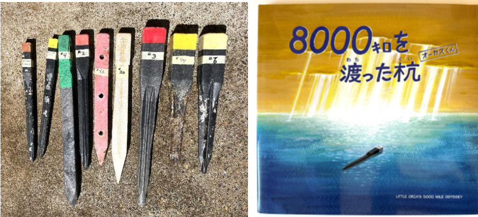 Survey stakes lined up in a row and a cover of a children's book in Japanese about marine debris in the Pacific Ocean. 