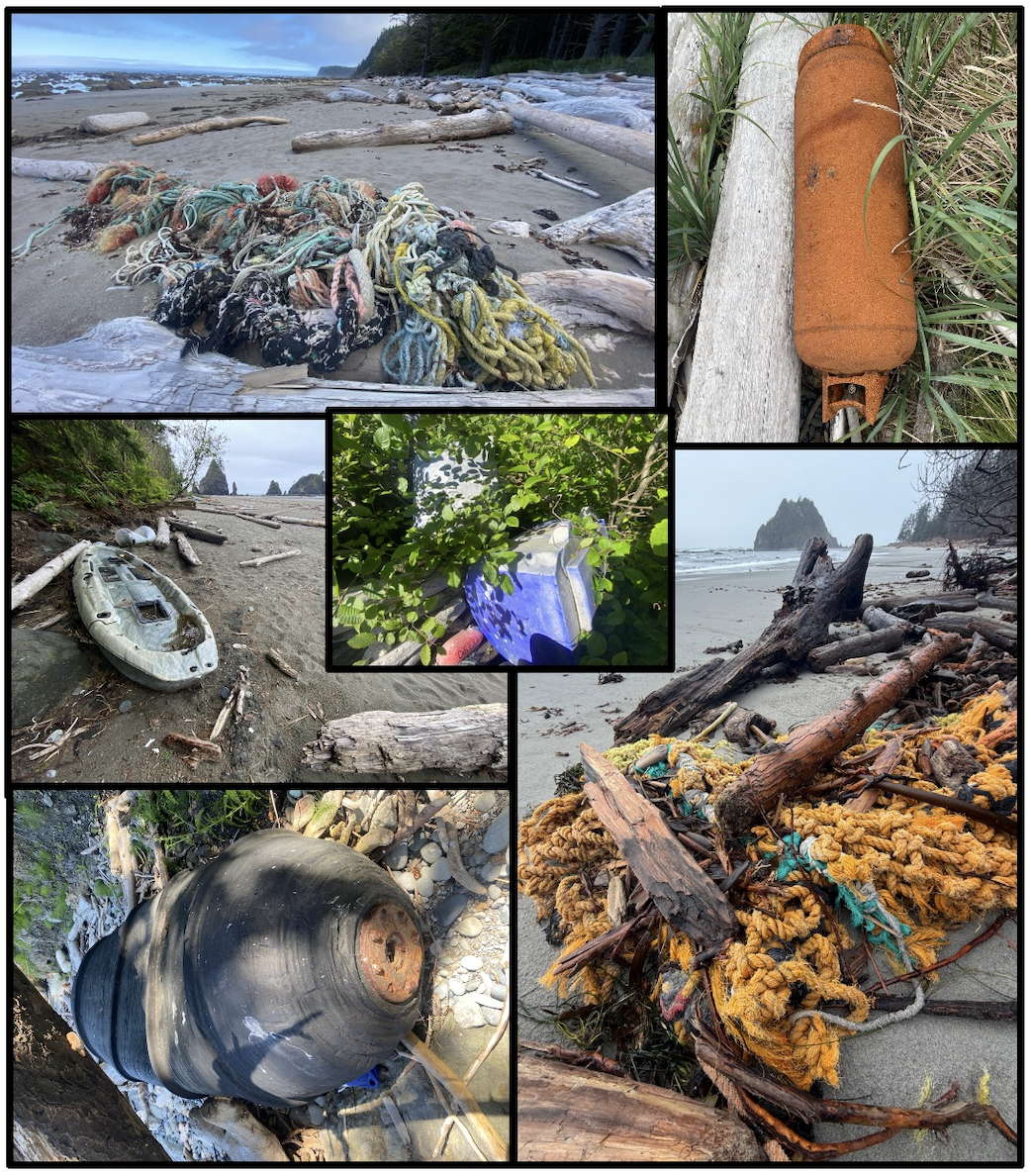 Washington CoastSavers