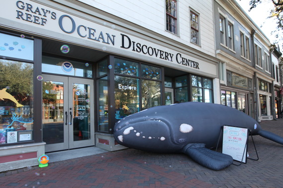 Inflatable whale in front of a building.