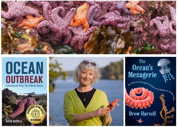 L to R: Multiple colors of ochre sea stars; Dr. Drew Harvell; and “The Ocean’s Menagerie” and "Ocean Outbreak" book covers.