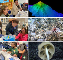 Six-panel collage showing educators participating in a NOAA workshop alongside deep-sea species and seafloor mapping visualizations.