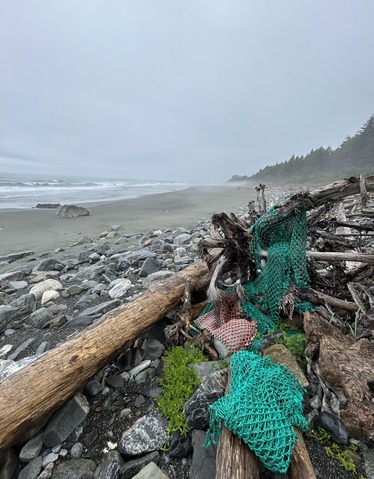 Derelict fishing gear tangled in a tree branch on a remote shoreline.