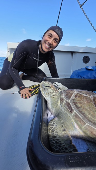 A person in a wetsuit sitting on the deck of a boat smiling and posing next to a green sea turtle resting in a container.  