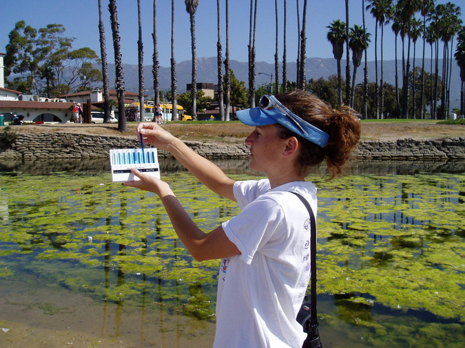 A person compares a water sample in a test tube to a color-coded water quality testing kit near an algae-covered pond.