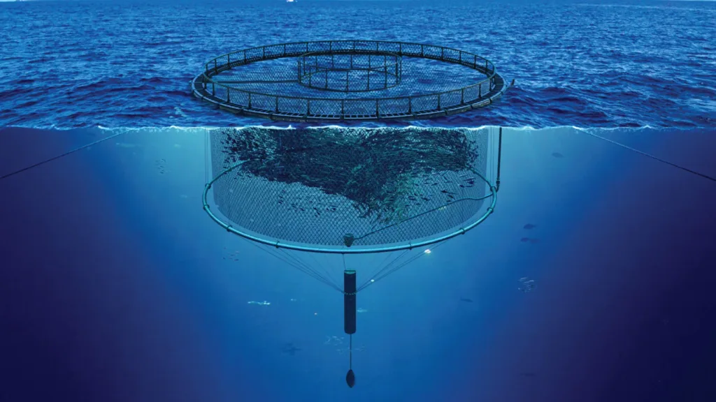 submersible net pen