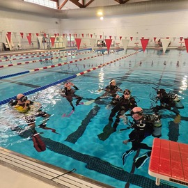 Divers in a pool