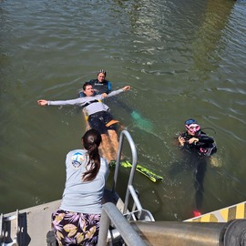 Divers at the surface