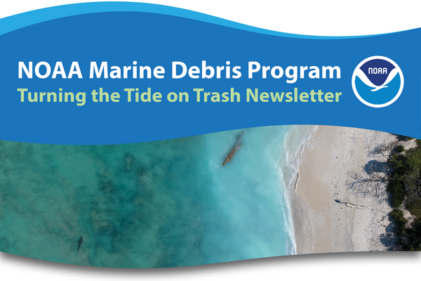 An aerial photo of a shoreline that includes a Hawaiian monk seal and a shark in the water.