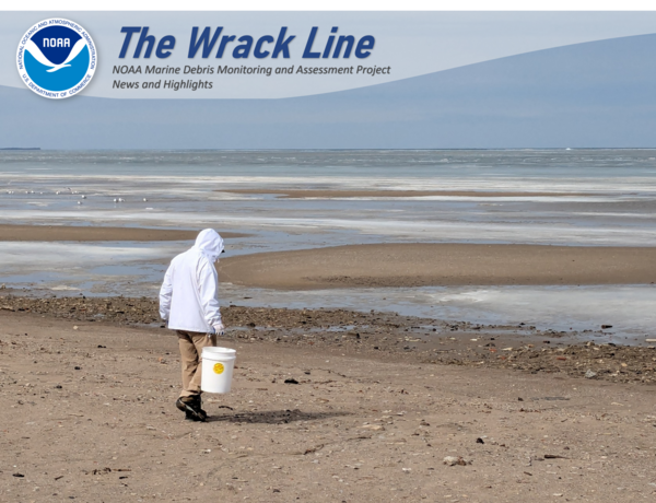 A participant walks along a transect during an MDMAP survey in Port Clinton, Ohio. Photo Credit: Old Woman Creek National Estuarine Research Reserve.