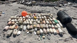 Surveyors found nearly 100 buoys within their selected transects on Santa Rosa Island, California, in August 2025. Credit: @Orchard/Rincon