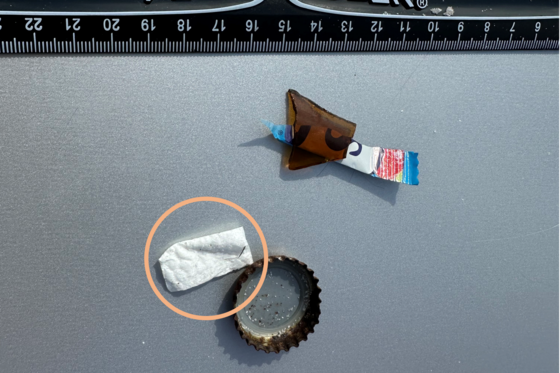 Assorted marine debris next to ruler. A nicotine pouch is circled.