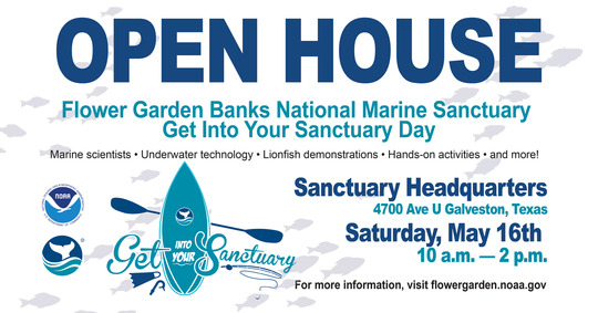 open house flyer 