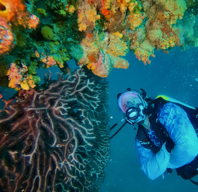 A SCUBA diver in a full-face mask swims beside a large sea fan and a colorful coral-covered reef overhang.