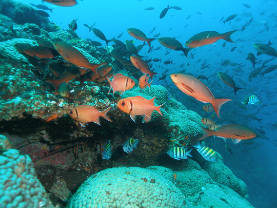 Stetson Bank