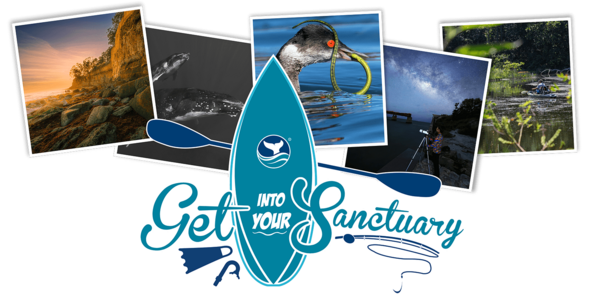Get Into Your Sanctuary visual element that includes a paddle board, snorkel gear, and a fishing pole.