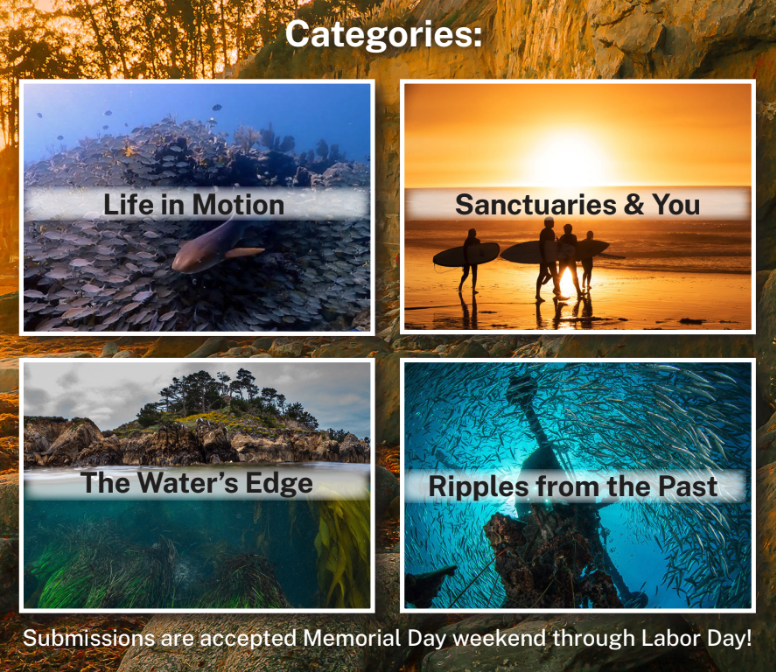 A photo including four new categories: Life in Motion, Sanctuaries and You, The Water's Edge, and Ripples from the Past