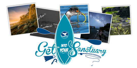 GIYS Photo Contest