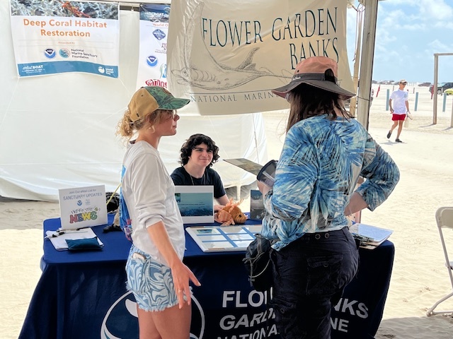 world ocean day