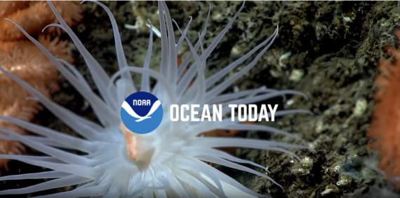 what is Ocean Today?