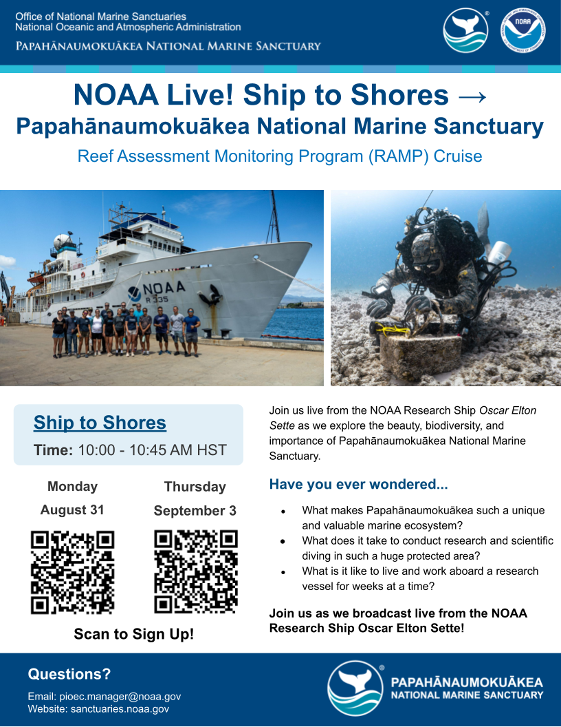 Ship to Shores Flyer 2026