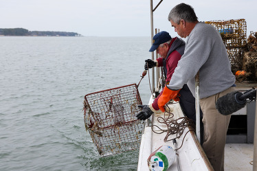 Two crabbers hook a rusty trap and pull it out of the water into a boat on a gray day. 