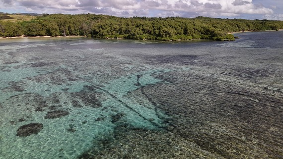 An aerial view shows a fouled gillnet caught on a tropical reef. 
