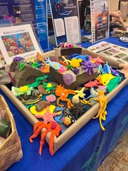 HCC build a reef
