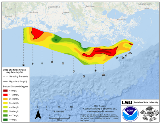 Gulf Dead Zone Measurement Map for August 5, 2026. Credit: NOAA and LSU.