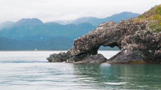 Elephant Rock in Kachemak Bay, Alaska.