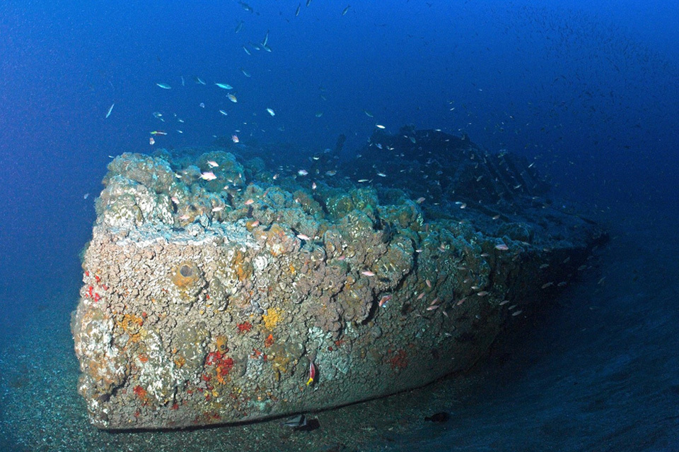 A coral-covered shipwreck lies on the sandy ocean floor surrounded by small fish in deep blue water.