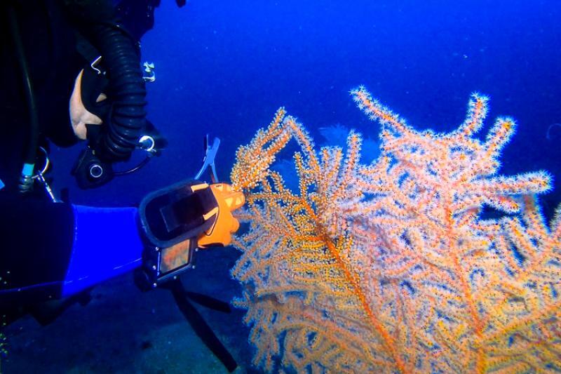 tech diving 