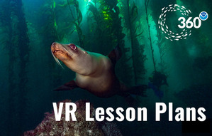 A sea lion in a kelp forest above a rocky reef with the words: VR Lesson Plans written over the image.