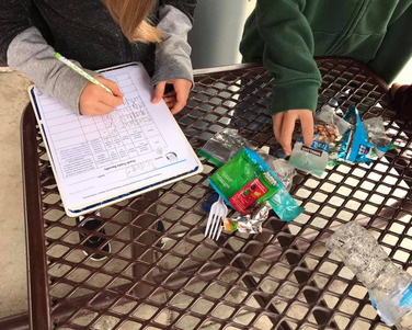 Students complete a waste audit table while looking at trash cleaned up from their campus.