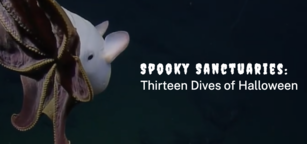 A dumbo octopus with the words: Spooky Sanctuaries: Thirteen Dives of Halloween