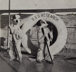 The two canine mascots of the USC&GS Steamer Research, 1906. (Image credit: NOAA)