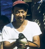 Fisheries scientist Bell Shimada holding a Galapagos Penguin, which are found in the Eastern Tropical Pacific Ocean.
