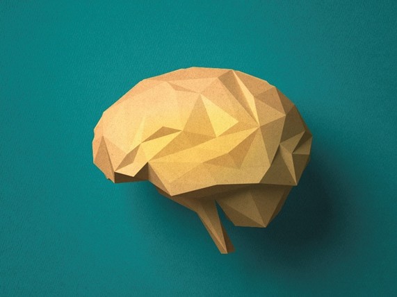 Origami brain