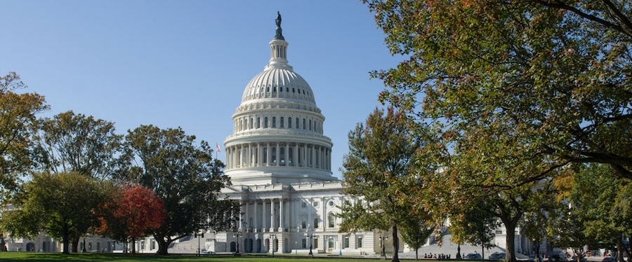 Capitol building with trees in foreground