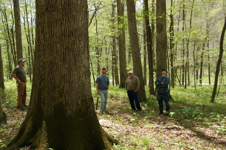 men in forest
