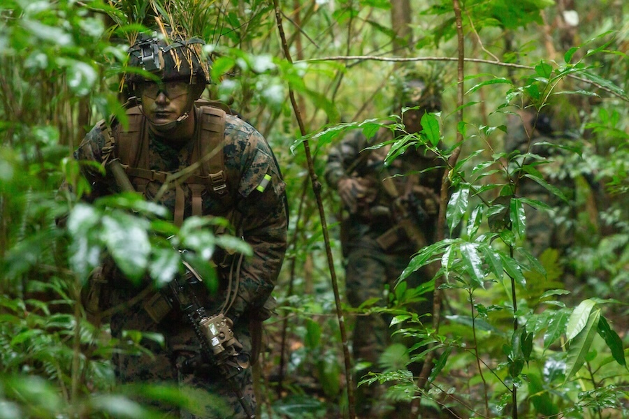 two marines in camouflage move through jungle
