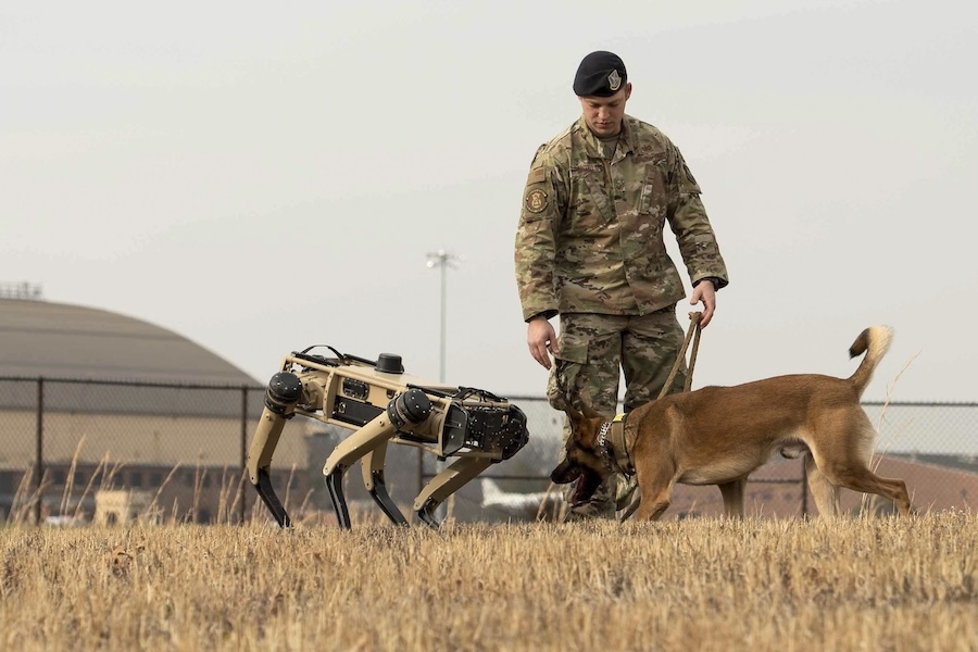 dog meets a robot dog