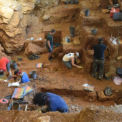 A number of people excavating artifacts in a cave.