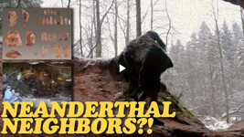 A blurry image of someone in a Neanderthal costume.