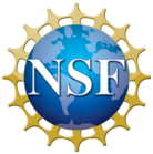 NSF Logo Resize