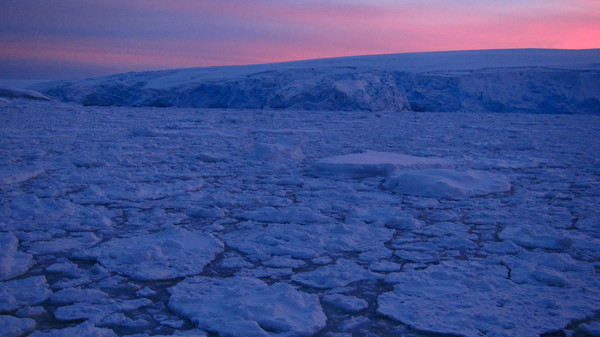 Arthur Harbor near Palmer Station