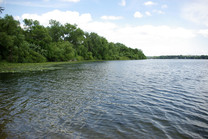 Minnesota Lake