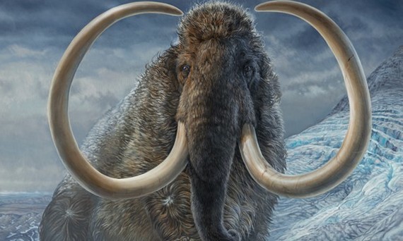 illustration of a woolly mammoth