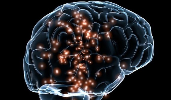 illustration of a brain