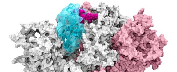 illustration of a virus