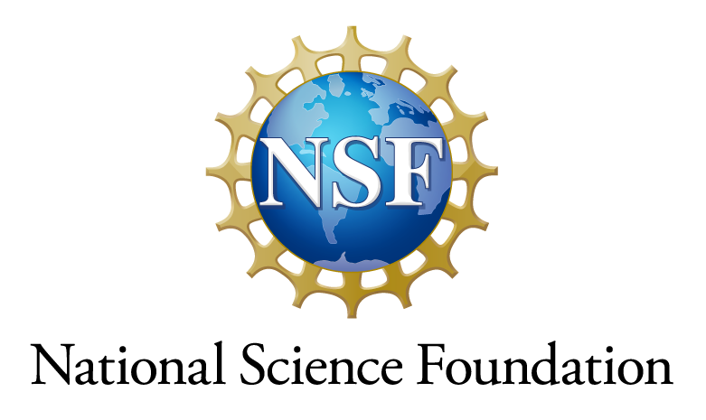 NSF stacked logo